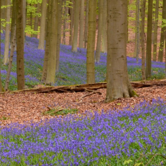 Meet your Posher, Katelynn - Picture 2 of 2